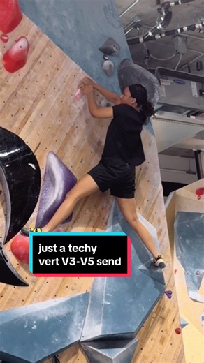 Sloth Falling on TikTok