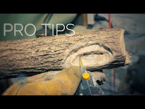 How to wood carve eyes like a pro - featuring Destroying Angel - using power tools