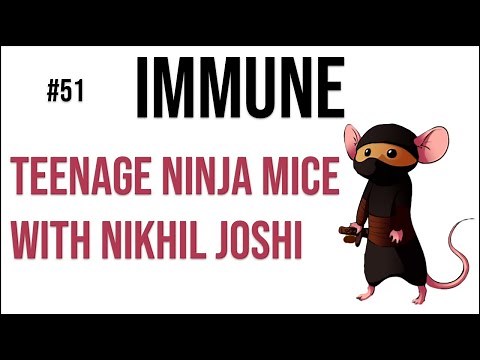 Immune 51: Teenage NINJA mice with Nikhil Joshi