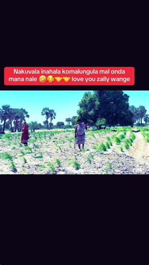 Celebrate Your Parents With Love and Laughter