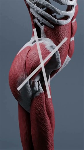 تصحيح ميلان الحوض بتمارين معتمدة استعادة المحاذاة تقوية عضلات البطن تحسين التوازن والاستقرار الوظيفي