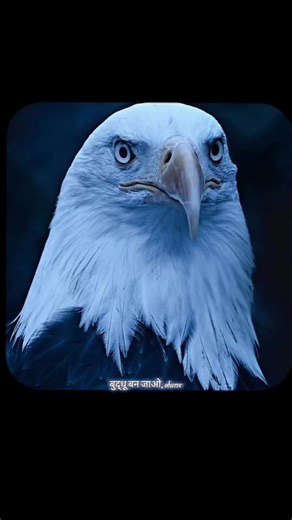 How to Read People Instantly 🧠 #shorts #menupulationtrick #physicology #trends #menupulating