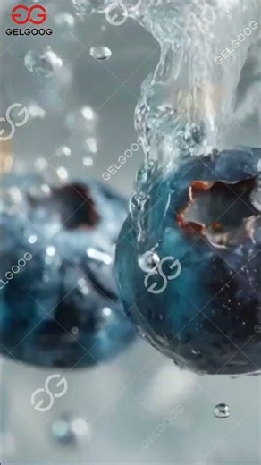 Línea de producción de limpieza y clasificación de arándanos