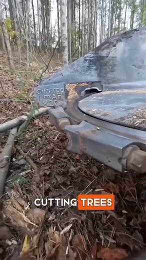 This Machine from China is desighned to cutt the big trees.... | Marsh Sheel
