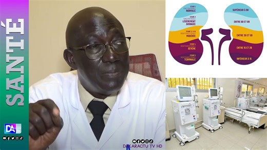 Insuffisance rénale : « 1030  malades sont pris en charge dans les 27 centres de dialyse au Sénégal » (Dr Abdou Niang)