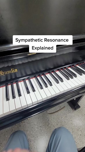 Exploring Sympathetic Resonance in Music and Science