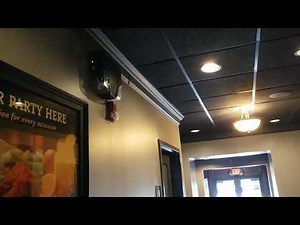 Fire alarm going off at restaurant