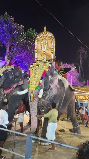 Machad Jayaram 🐘 | Sreekumara Subramaniyan Temple Elthuruth | Sringapuram Festival 🔥