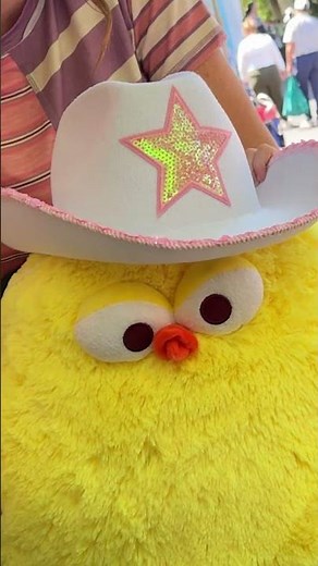 YEEHAW adley's cowgirl chicken!! mom won a huge prize at lagoon and it became the a for adley mascot