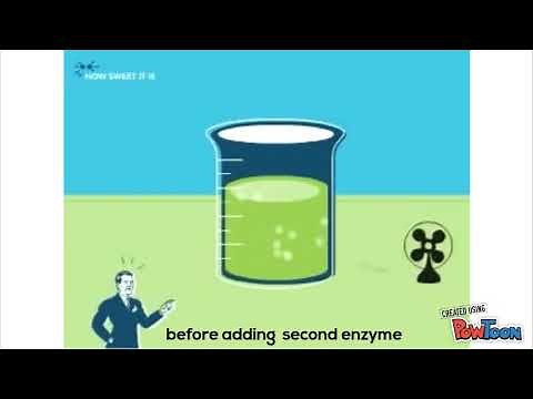 The Production of Bioethanol from Sugarcane