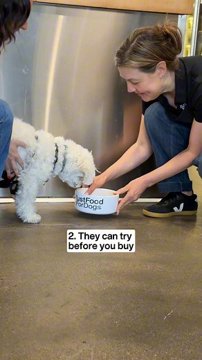 🍃 Want to try fresh food for your furry friend?! Join us in our 🎊 kitchen and try our mouthwatering vet-approved recipes. New to JustFoodForDogs? Our meals are: ✅ proven to promote immune system health and better digestion through independent research ✅ formulated by a large team of veterinarians to give the best nutrition for your dog ✅ priced lower than other brands so that more pet parents can access the best nutrition possible | Just Food For Dogs