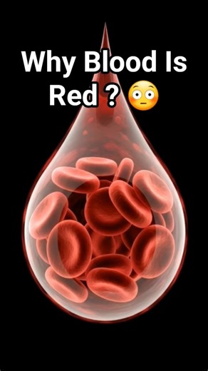 Why Is Blood Really Red? 😱 #shorts #trending #viral #youtubeshorts #ytshorts #reels #facts #short