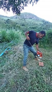 acho que pega no tranco | Tonego Tonego