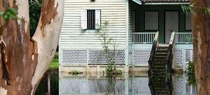 Safe Storm Cleanup Tips | DoItYourself.com