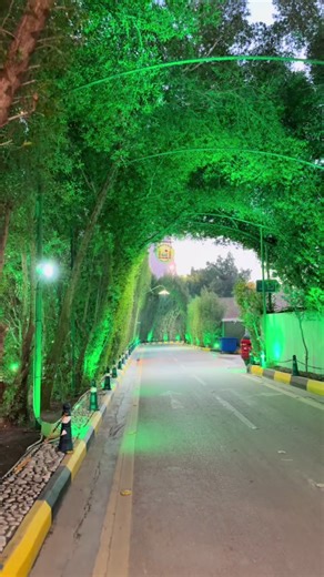 Journey Through the Green Pathway to Karbala
