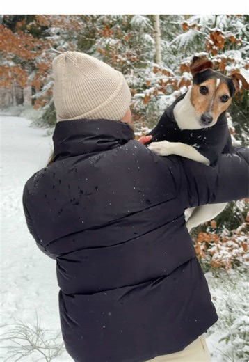 Walking with Jack🐶😅❣️ #jackrussell