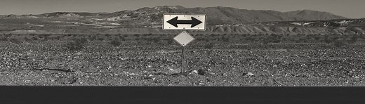 Two-Path-Theory (Moffitt): Zwei Entwicklungswege kriminellen Verhaltens – SozTheo