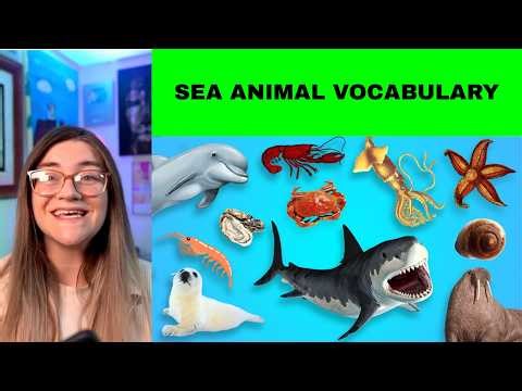 Easy English Learn Sea Animal Names With Hannah | Sea Animal Vocabulary | For Kids