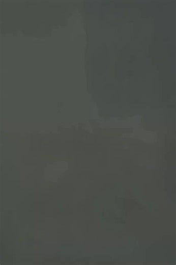 Understanding Novel Reading Trends and Aesthetics