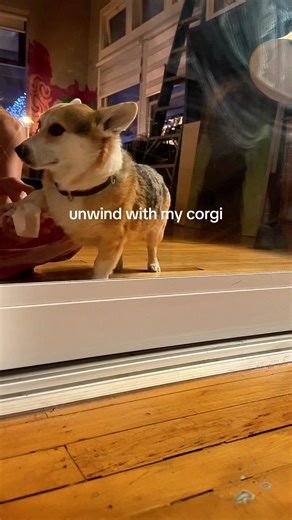 paige 👀 (@paige_jimenez)’s videos with Magnetic Field 396 Hz - Yotam Agam