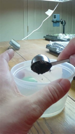 Checking potting soil EC with a slurry test