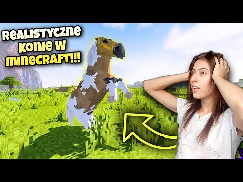 MUSISZ TO ZOBACZYĆ! Minecraft Mod SWEM