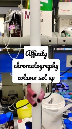Affinity chromatography set up at lab ll Life sciences ll Biotechnology