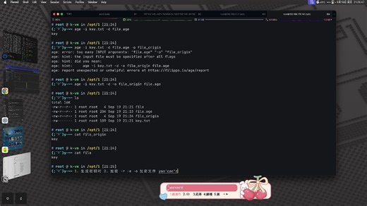 linux使用age对文件进行加解密，通过公私钥和密码两种方式