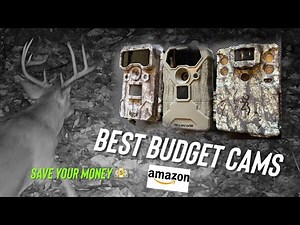 The Best Budget Trail Cams for Deer Hunting in 2024