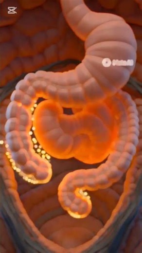 ginger benefits #facts #cartoonstory#animation vedios #viral shorts