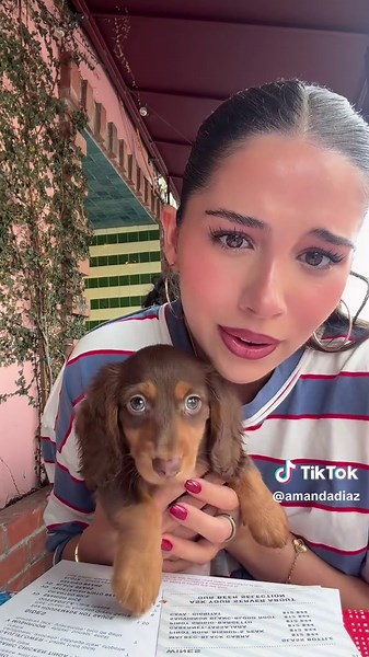 Everyone meet Leo aka the cutest puppy in the world omg | puppy
