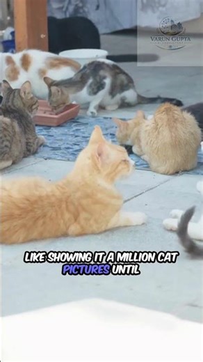 What is Deep Learning? The Brain of AI Explained