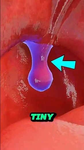 UVULA Facts That Will Change How You Think About Swallowing⁉️#facts #uvula #didyouknow