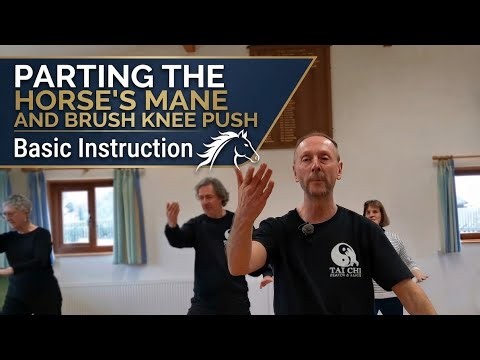 Parting the Wild Horse's Mane and Brush Knee and Push with Basic Instruction and Brief Description