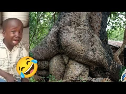 Try Not To Laugh Challenge 😂😂😂 ▶️ LEVEL 15 | Instant Regret Fails | Pranks Compilations 2026