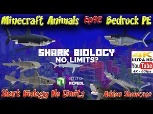 Shark Biology Addon No Limits Update Animal Showcase 4k 60fps Minecraft PE BE Sharks Animals Ep92