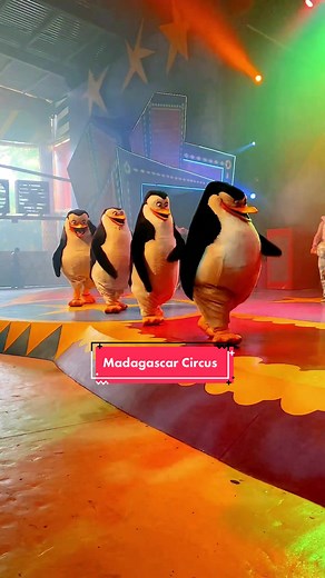 Madagascar Circus Show at Beto Carrero: Spectacular Fun for All Ages!