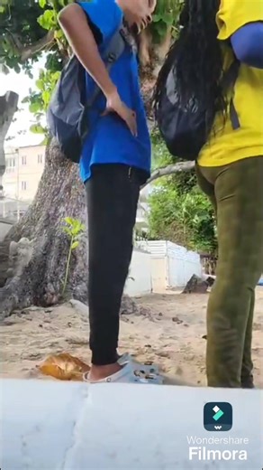 On August 19th, the tragic loss of yet another endangered hawksbill turtle became an example of human kindness thanks to Keimar Holder-Edghill. We salute all those remarkable humans who give of their time and resources to help others every single day ❤️ | Barbados Sea Turtle Project