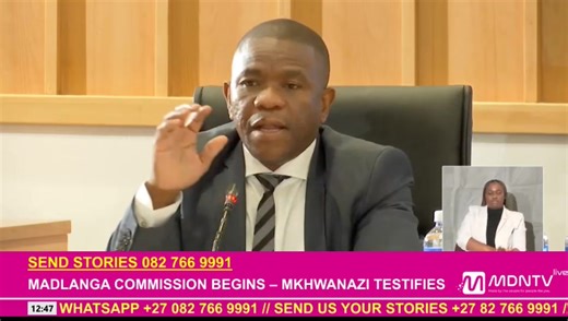 Lieutenant General Nhlanhla Mkhwanazi highlights the exceptional success rate of the KwaZulu-Natal Political Killings Task Team, which was disbanded by suspended Police Minister Senzo Mchunu. | MDN News