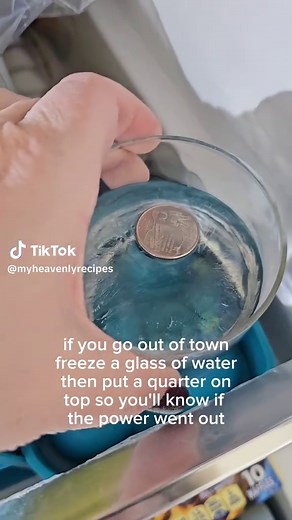 Life Hack: Prevent Food Spoilage from Bottom Quarter
