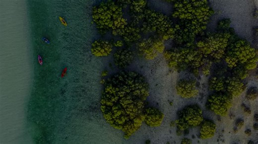 Fujitsu: Sustainability Transformation in Action - FT Longitude