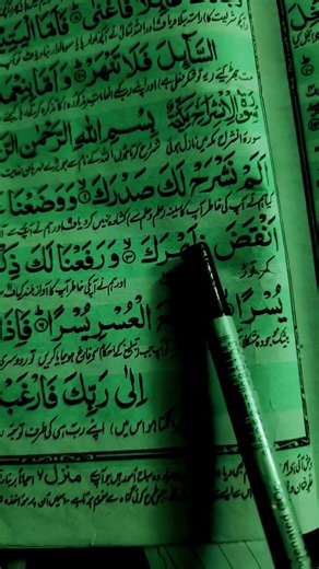 #SURAH ALAM NASRAK 🤲🤲🤲 RINA MALLICK 786