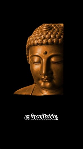 🔴frases más conocidas de buda #frases #frasesinspiradoras #frasesmotivadoras #frasespositivas