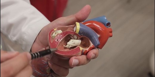 Heart Health: The New “Life’s Essential 8” List