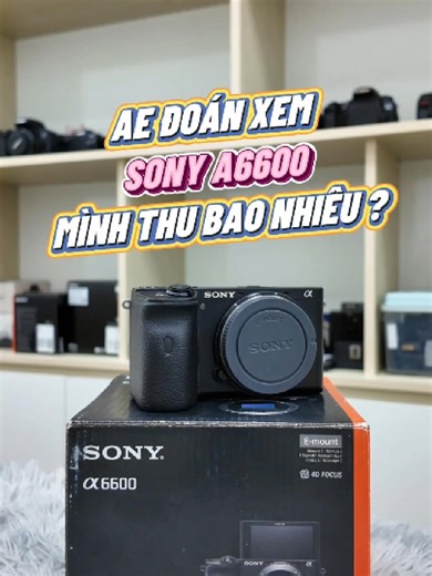 SONY A6600 con máy nhỏ mà có võ đã có sẵn tại tiệm rồi nha anh em, anh em ib chốt liền kẻo lỡ #tientranmobile #thumuamayanhcu #sonnya6600 #mayanhgiare #photographer