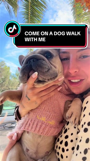 Join Cookie on an Adorable Dog Walk!