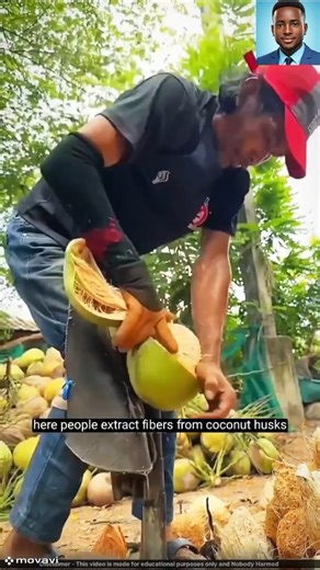 Coconut fiber can be used to create mats for soil stabilization, preventing erosion and improving water retention. Sustainable and biodegradable, these mats reinforce slopes, embankments, and degraded lands while promoting eco-friendly construction practices. 🌱🛠️ #CoconutFiber, #SoilStabilization, #ErosionControl, #SustainableConstruction, #EcoFriendly, #CivilEngineering, #GreenEngineering, #SlopeProtection, #EnvironmentalEngineering, #BiodegradableMaterials | Dr. Eng. Tamboura