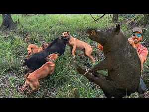 A Day in the FLORIDA SWAMPS | EPIC HOG HUNT!