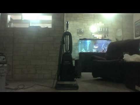 New Vacuum: Panasonic Performance Plus Platinum
