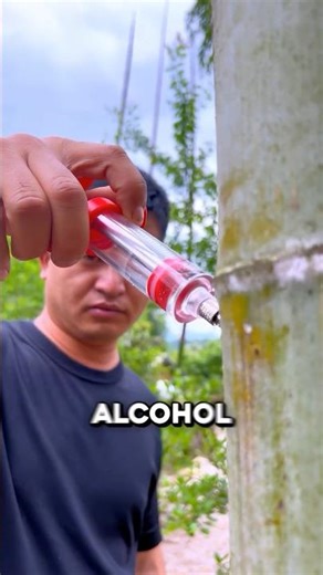 The Genius Reason People Inject Bamboo 🤯